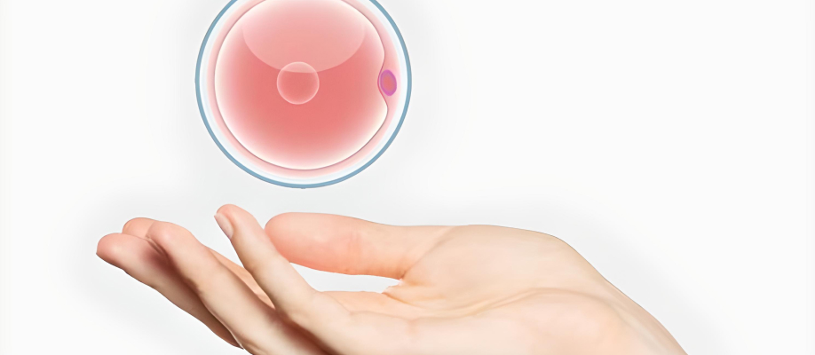 Донація яйцеклітин, як один із методів допоміжних репродуктивних технологій.